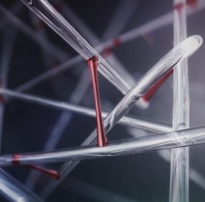 HA Cross-link overview